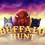 Buffalo Hunt - nová hra v kasíno eTIPOS.sk